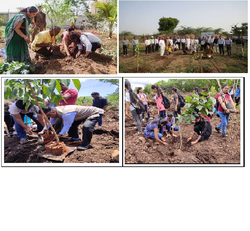 48_TREE PLANTATION DRIVE 2021.jpg